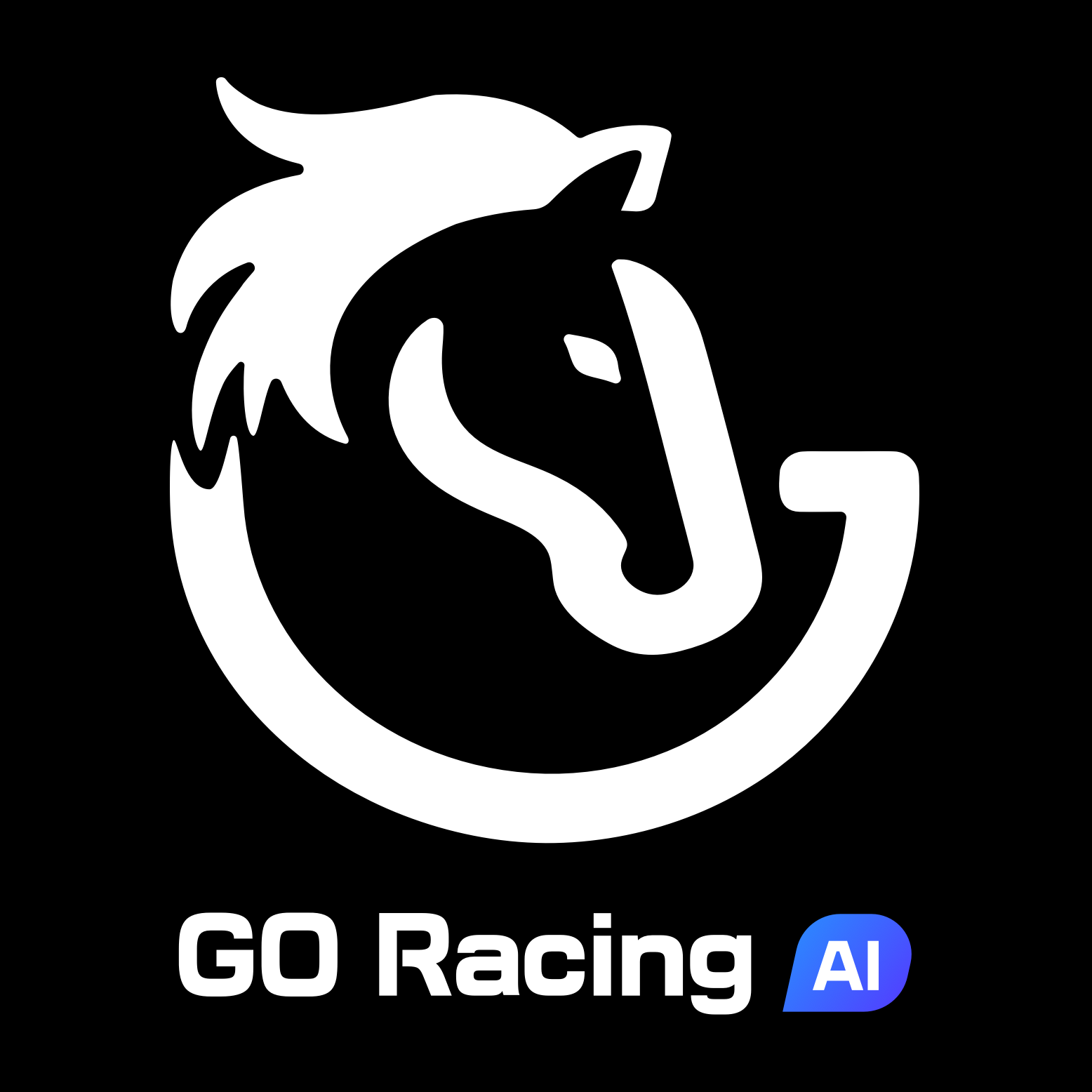 Go Racing logo
